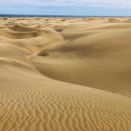 Palm Trees View Of The Dunes Апартаменты